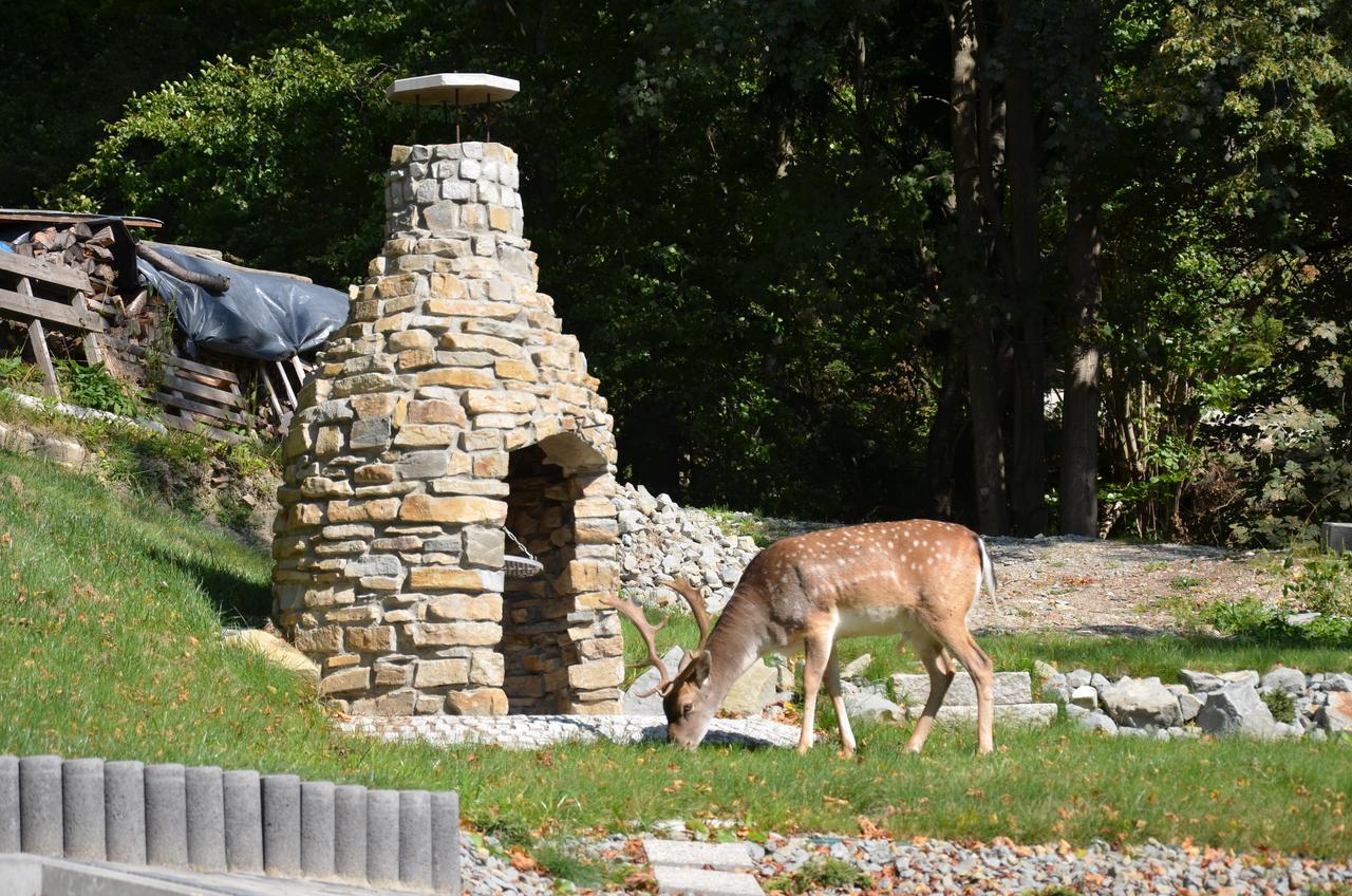 Lesna Polana- Blisko Centrum, Mini Spa, Cicha, Spokojna Okolica, Parking Gratis クリニツァ・ズドルイ エクステリア 写真