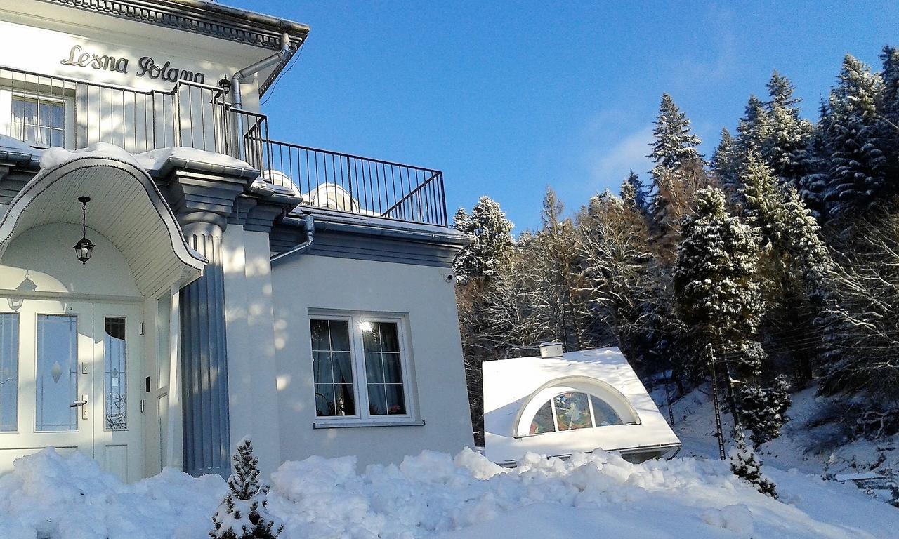 Lesna Polana- Blisko Centrum, Mini Spa, Cicha, Spokojna Okolica, Parking Gratis クリニツァ・ズドルイ エクステリア 写真