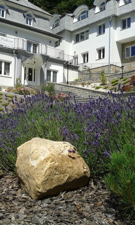 Lesna Polana- Blisko Centrum, Mini Spa, Cicha, Spokojna Okolica, Parking Gratis クリニツァ・ズドルイ エクステリア 写真