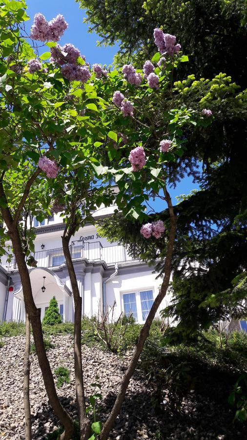 Lesna Polana- Blisko Centrum, Mini Spa, Cicha, Spokojna Okolica, Parking Gratis クリニツァ・ズドルイ エクステリア 写真