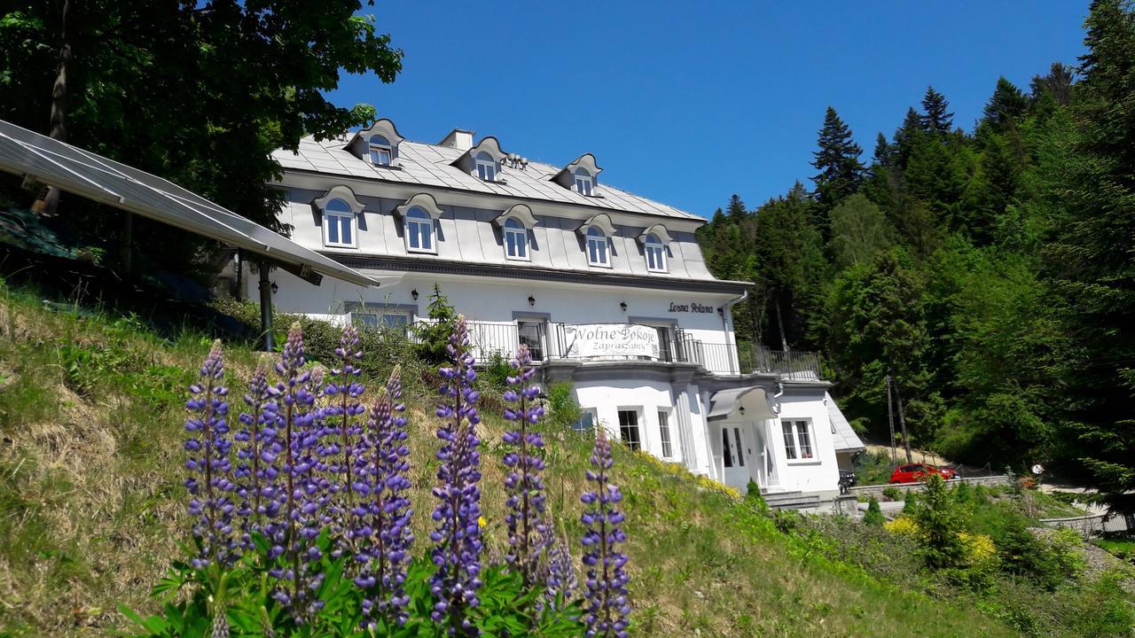 Lesna Polana- Blisko Centrum, Mini Spa, Cicha, Spokojna Okolica, Parking Gratis クリニツァ・ズドルイ エクステリア 写真